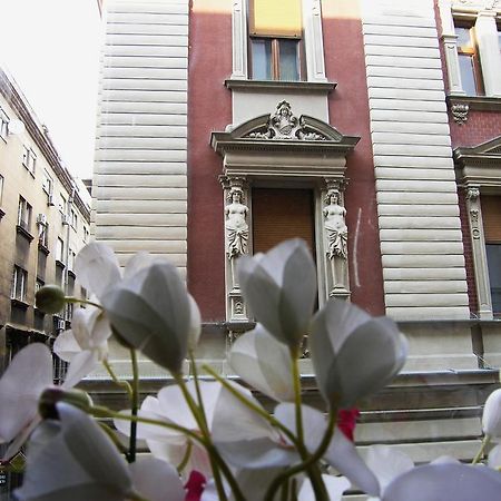 Apartment Danijela-City Centar Belgrad Zewnętrze zdjęcie