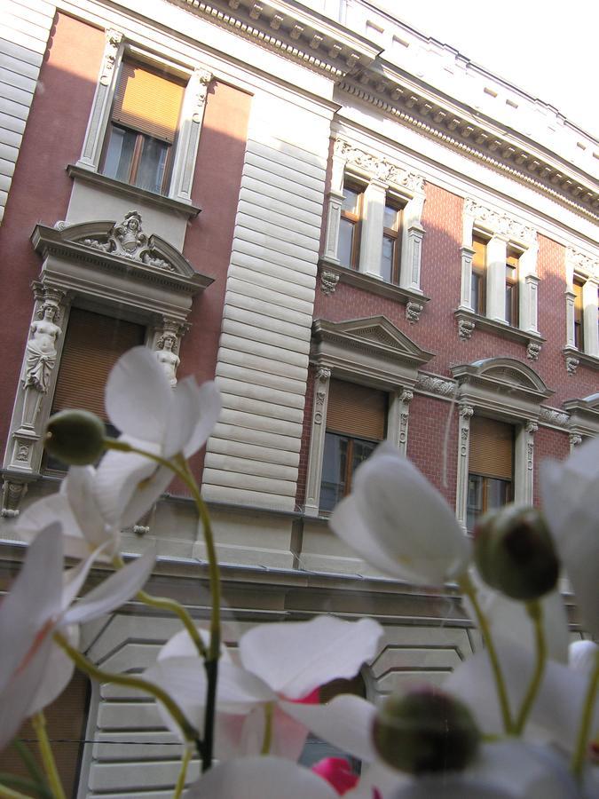 Apartment Danijela-City Centar Belgrad Zewnętrze zdjęcie