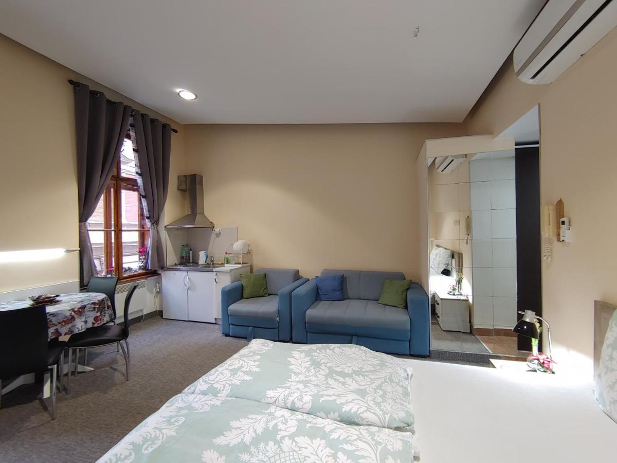 Apartment Danijela-City Centar Belgrad Zewnętrze zdjęcie